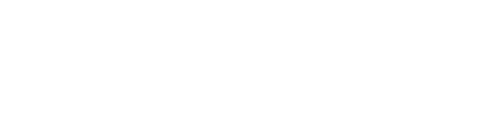 Elevate Transport